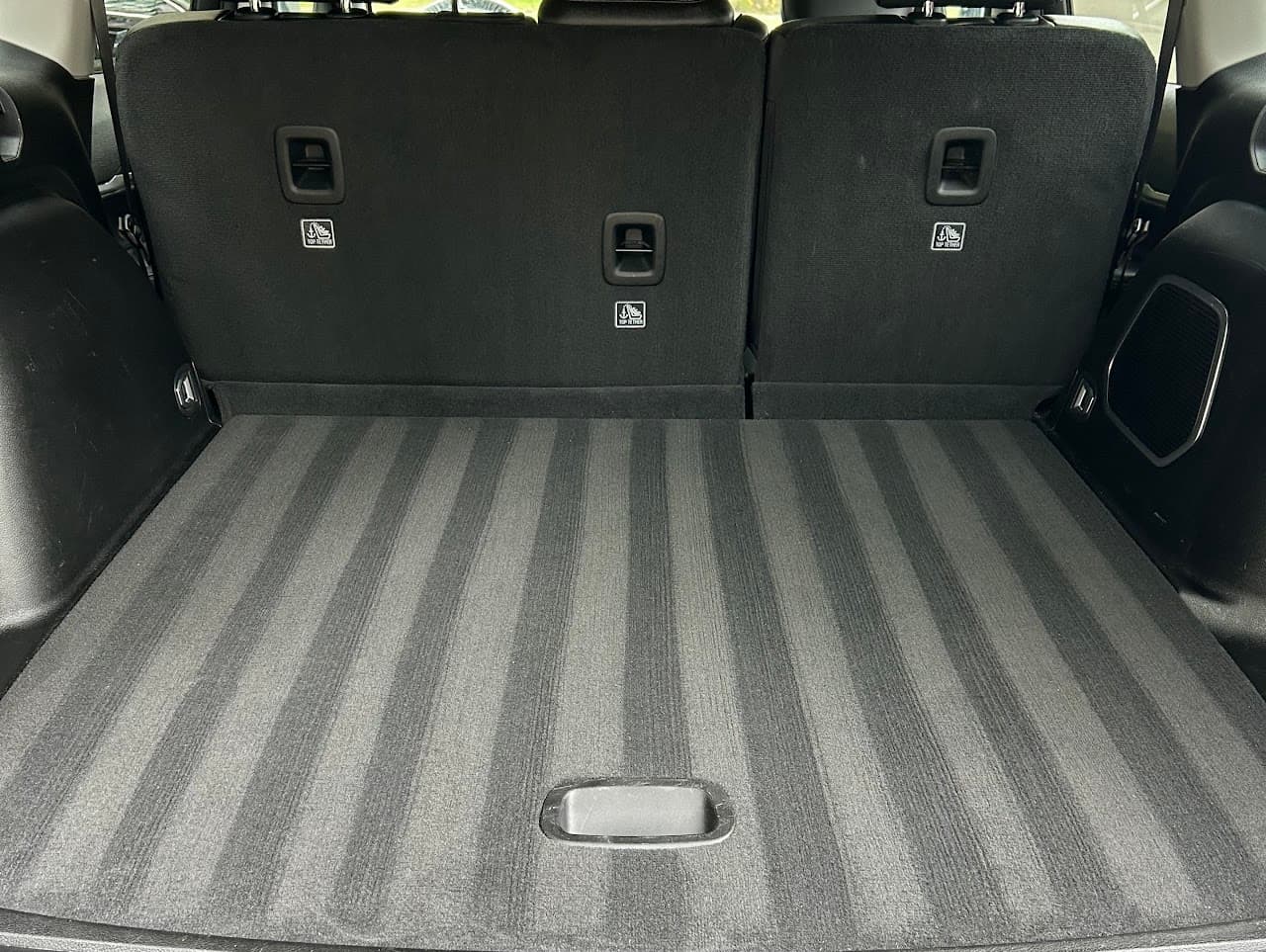 Extracted and vacuumed cargo area carpet